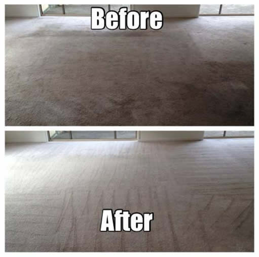 Before and After Gold Coast Carpet Cleaning